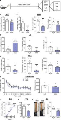 The colonic interleukin-19 aggravates the dextran sodium sulfate/stress-induced comorbidities due to colitis and anxiety